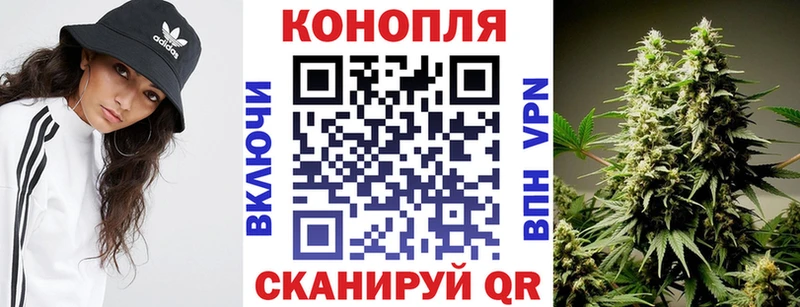 Марихуана Amnesia  купить закладку  Белово 